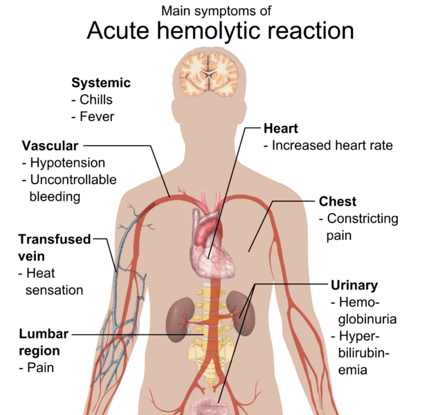 Genotype Diet Review