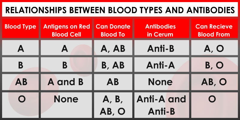 Human Blood Types Chart