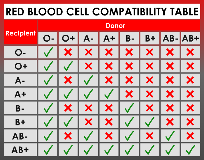 rh factor blood type